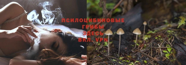 ECSTASY Липки