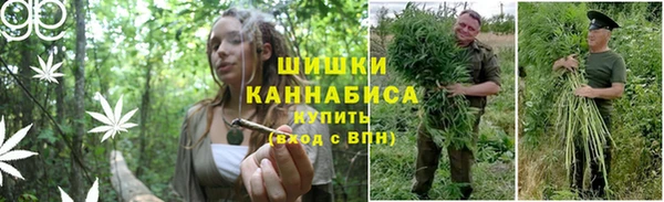 МДПВ Магас