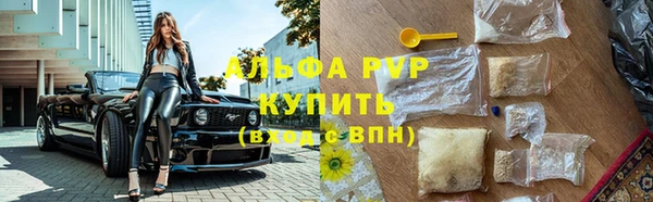 ECSTASY Липки