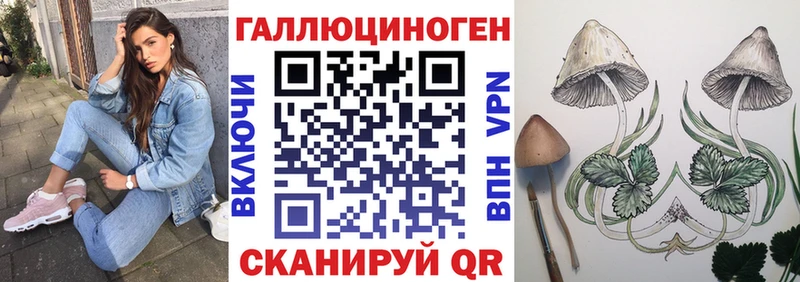 Псилоцибиновые грибы ЛСД  Купить  Уржум 